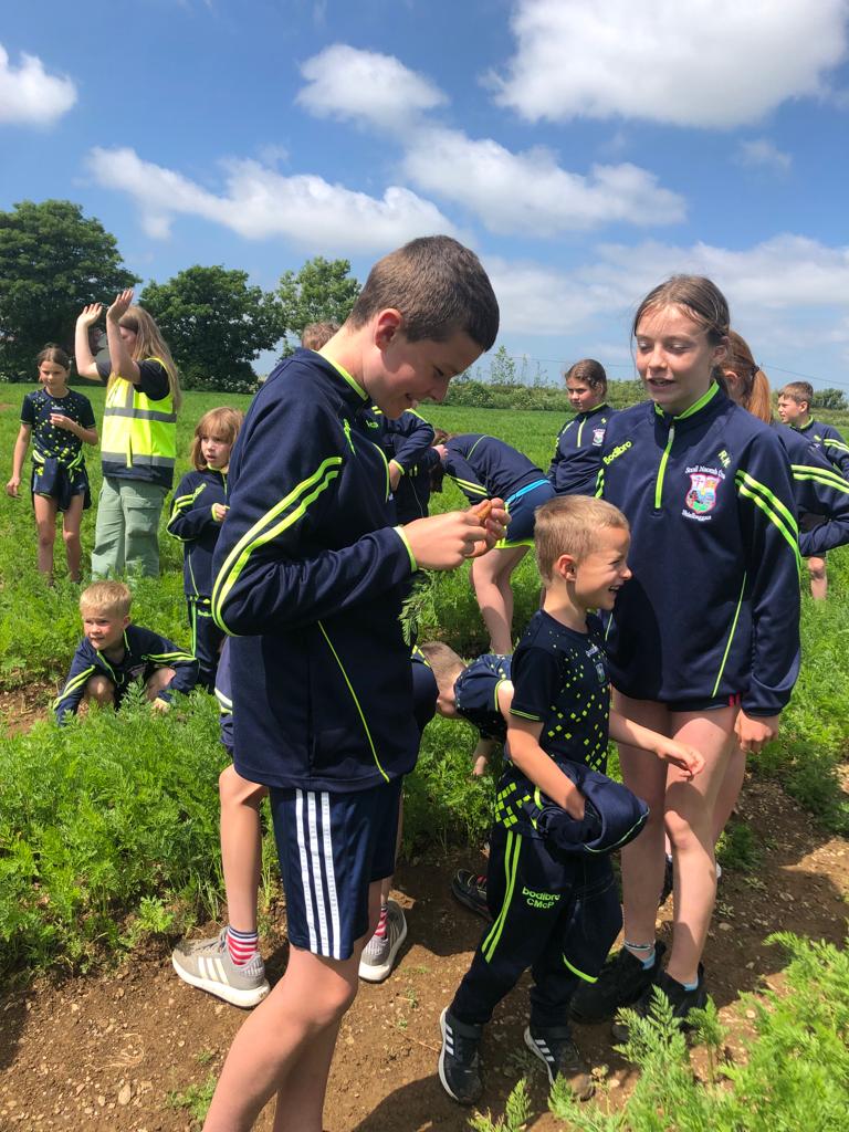 Visit from South East Vegetables, Shielbaggan National School, May 2023