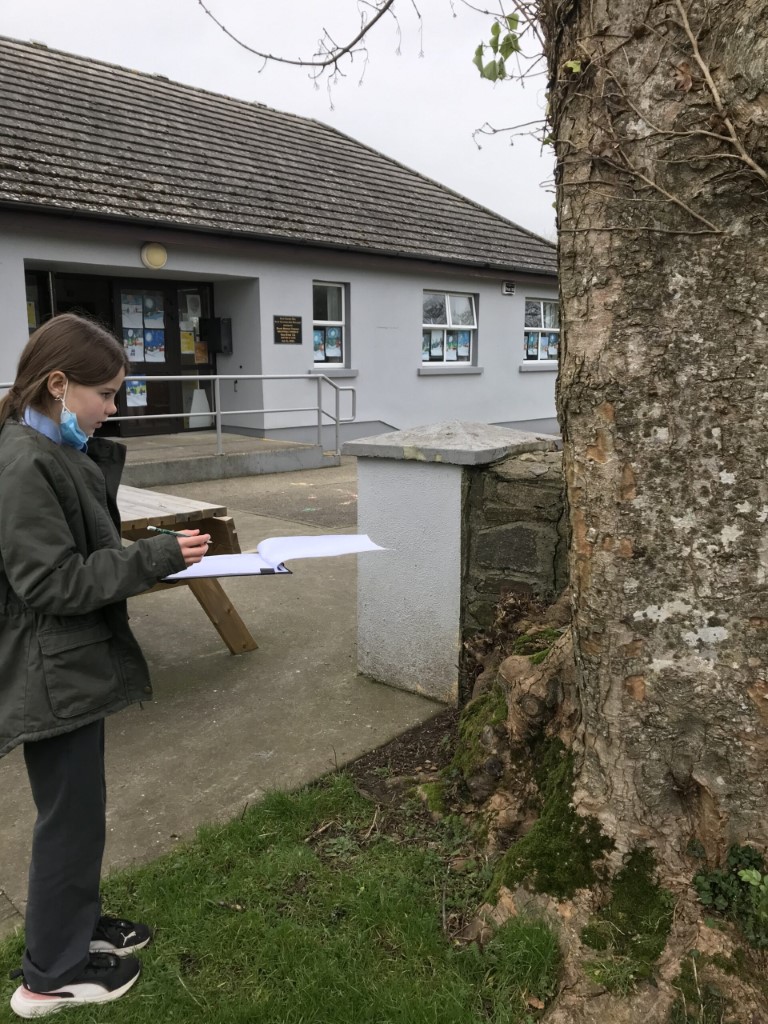 Green Schools Mapping, Shielbaggan NS 2022